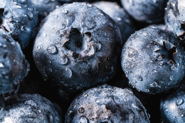 istock Blueberries closeup background full frame macro blueberry with dew water drops 1337460539