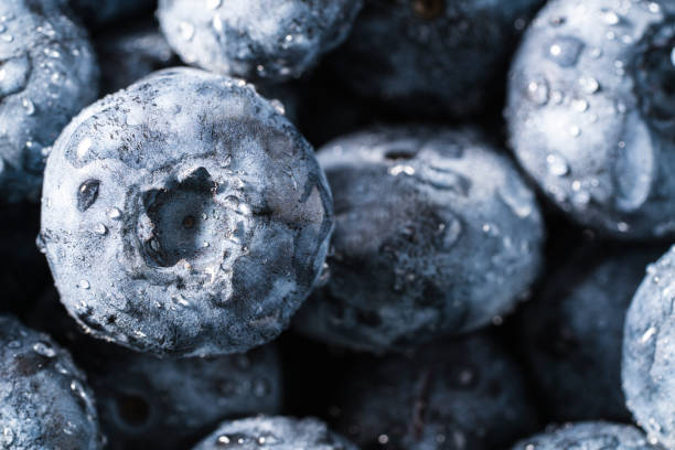istock Blueberries closeup background full frame macro blueberry with dew water drops 1337460722