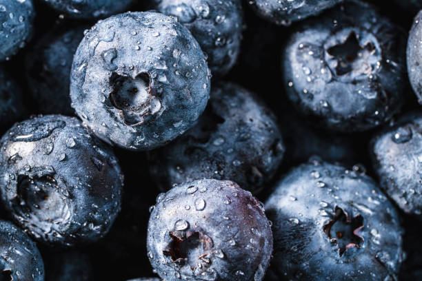 Macro Fruit: Ripe blueberry extreme close-up, black background, horizontal format