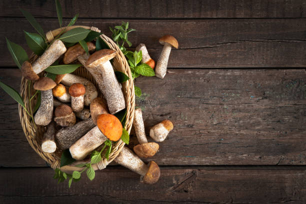 istock Mushrooms boletus on rustic wooden background for design 1337463934