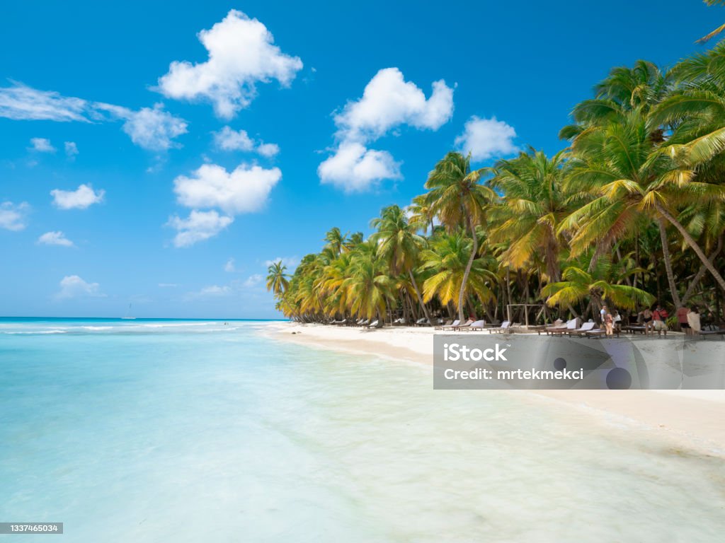Tropical beach in caribbean sea, Saona island, Dominican Republic Punta Cana, Dominican Republic, Beach, Island, Turquoise Colored Dominican Republic Stock Photo