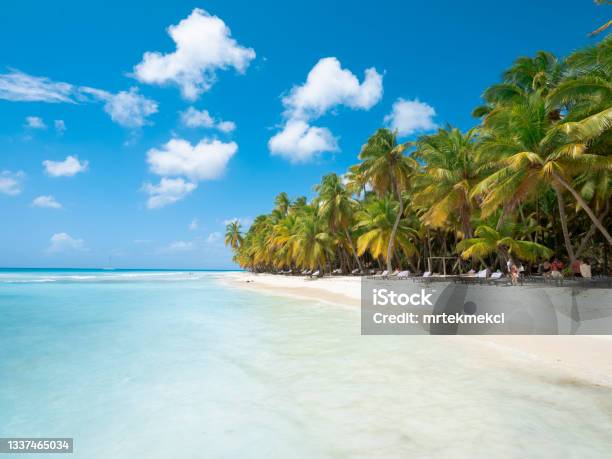 Tropical Beach In Caribbean Sea Saona Island Dominican Republic Stock Photo - Download Image Now