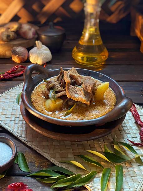 curry de carne - beef bowl curry dish curry sauces - fotografias e filmes do acervo