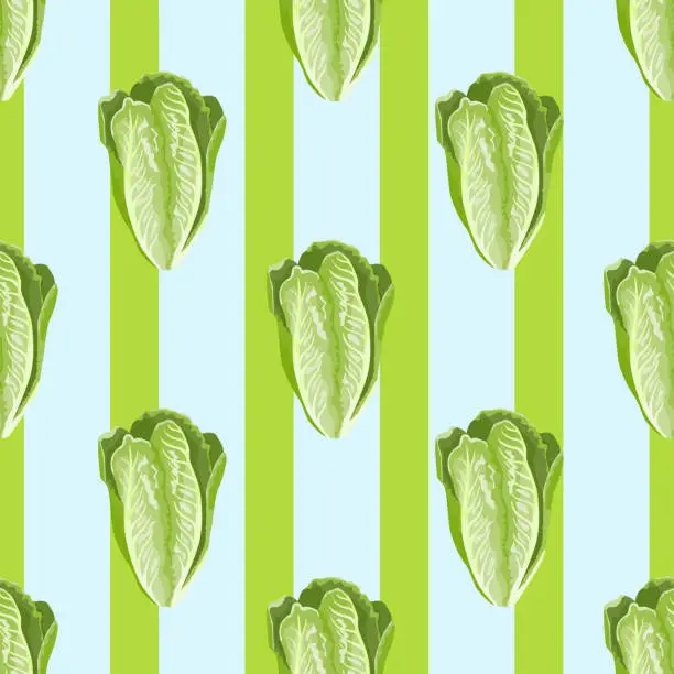 Vector illustration of Seamless pattern salad Romano on stripe blue background. Beautiful ornament with lettuce.