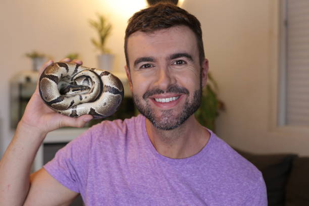 4,600+ Man Snakes Stock Photos, Pictures & Royalty-Free Images - iStock