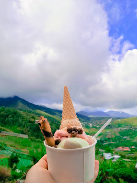 istock A cup of ice-cream with a mountain scenery. 1337477077