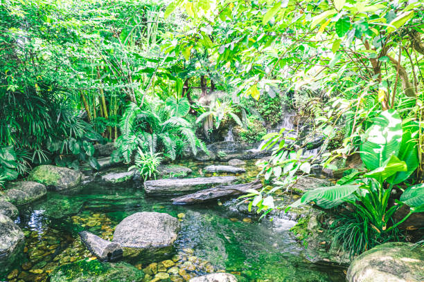 istock waterfall in tropical garden 1337477797
