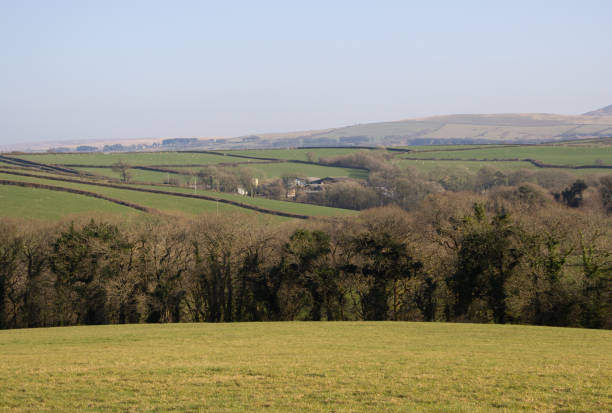 istock Dartmoor National Park 1337482332