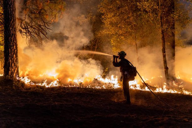 Caldor Fire California Firefighters battleing fire as Flames approaching Highway 50 during Caldor Fire in California forest fire photos stock pictures, royalty-free photos & images
