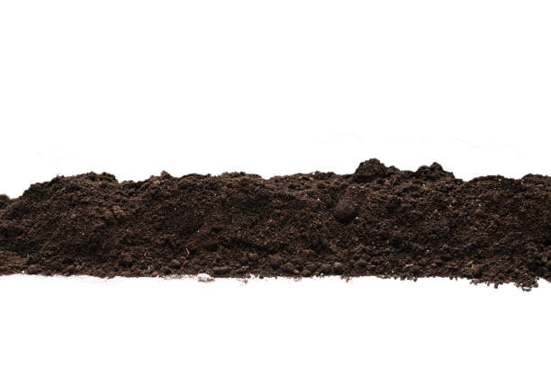 istock Black land for plant isolated on white background. 1337483666