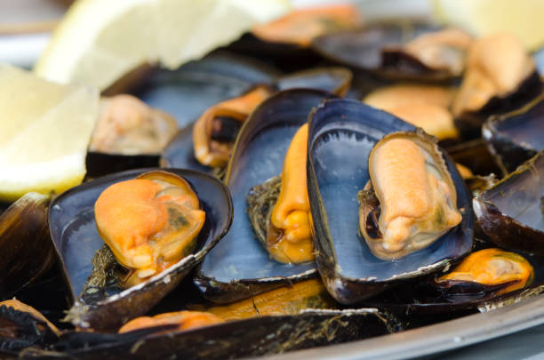istock Plate of mussels with lemon served on table 1337486241