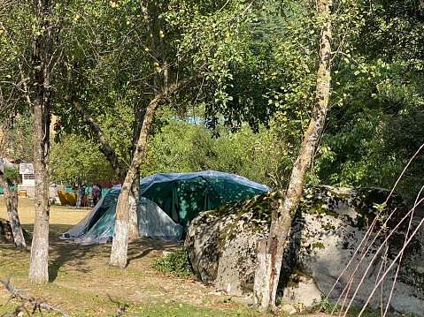 Tourist tent under trees