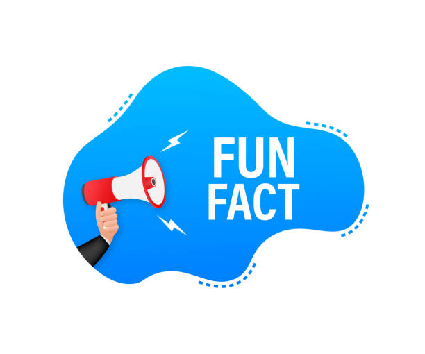 Visual Fact Box 120+ Fact Box Stock Illustrations, Royalty-Free Vector Graphics & Clip ...