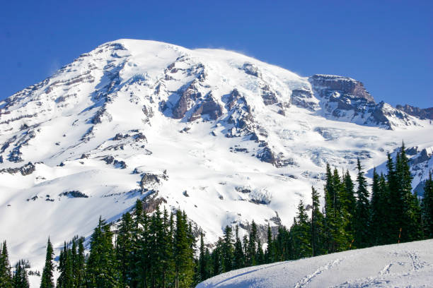 Mount Rainier summit in early summer