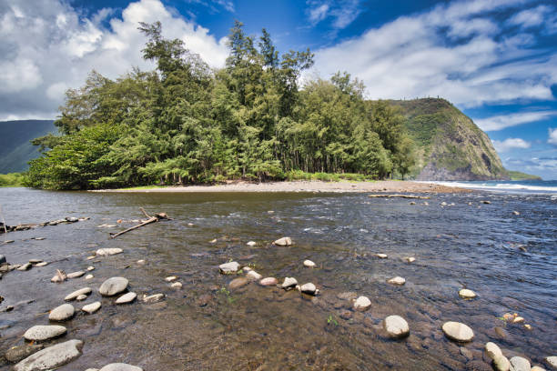 river meets the ocean - hamakua coast imagens e fotografias de stock