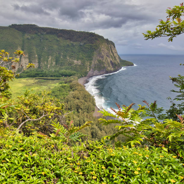 istock Waipio Valley Overlook 1337490914