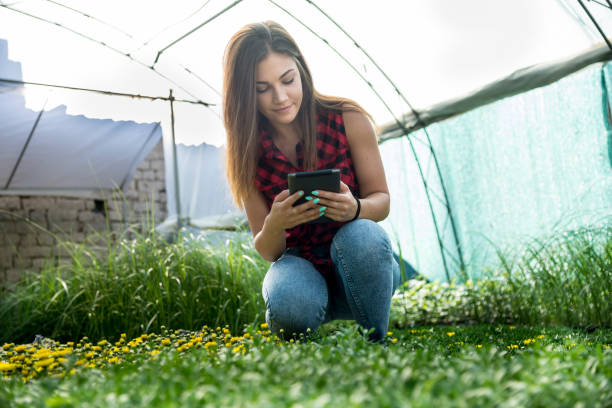 istock In the flower greenhouse. 1337492074