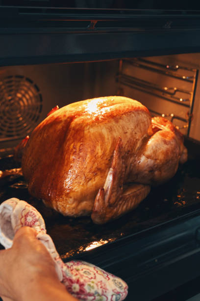 istock Preparing Stuffed Turkey for Holidays in Domestic Kitchen 1337492136