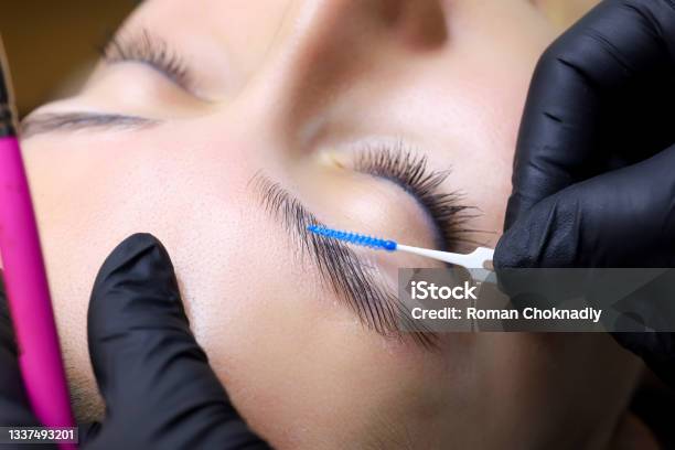 Cosmetic Procedure For Laminating Eyebrows Stock Photo - Download Image Now - Eyebrow, Forehead, Lamination - Beauty Treatment