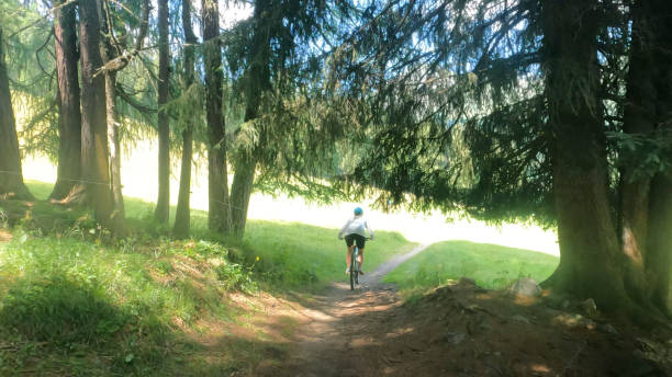 istock Female mountain biker follows trail through lush forest 1337493781