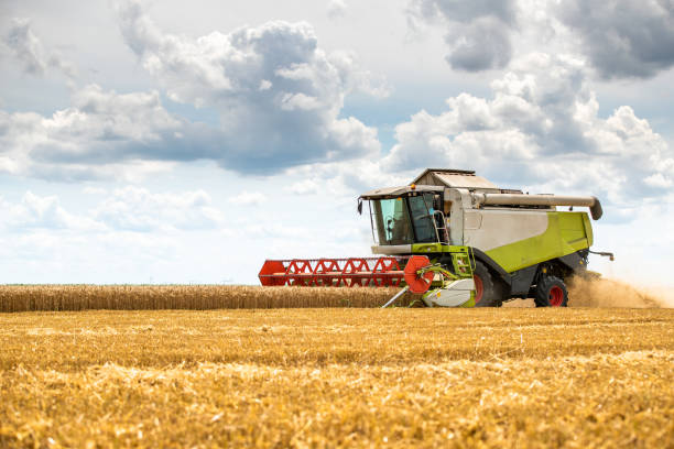 istock Combine harvester in action on wheat field. 1337495849