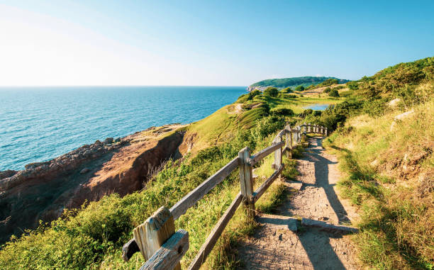 istock Rocky coastal area around Hammershus Ruins 1337496076