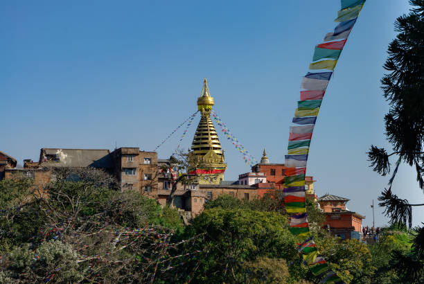 vista sullo stupa di swayambhunath nel complesso del tempio. kathmandu, nepal - nepal buddha monkey temple tibet foto e immagini stock