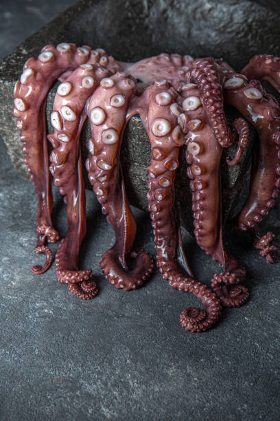 istock Raw octopus in black stone plate. Black background. Top view. Copy space 1337498085