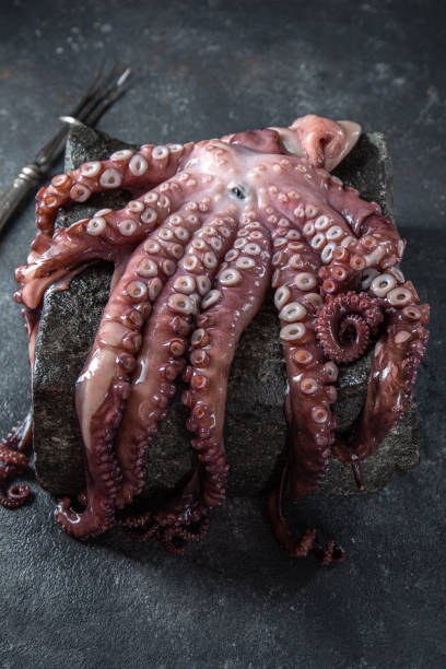 istock Raw octopus in black stone plate. Black background. Top view. Copy space 1337498130