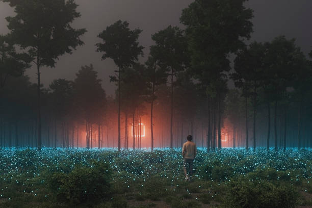 człowiek w lesie idący w kierunku tajemniczego obiektu - scenics time travel locations nature zdjęcia i obrazy z banku zdjęć
