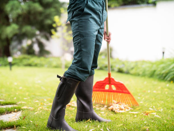 istock Gardener Is Cleaning Leaves From Garden. 1337498770