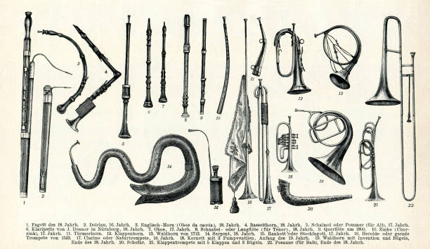 ilustrações de stock, clip art, desenhos animados e ícones de collection of old music wind instruments - bassoon