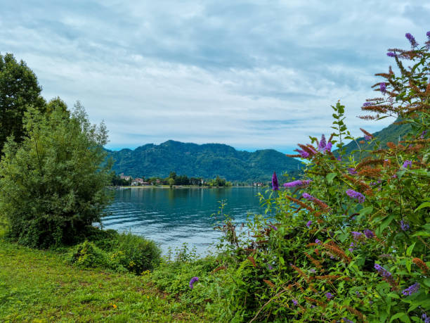 istock wonderful view of the lake 1337501951