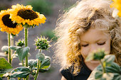 Little Girl Smells Sunflower on Farm
