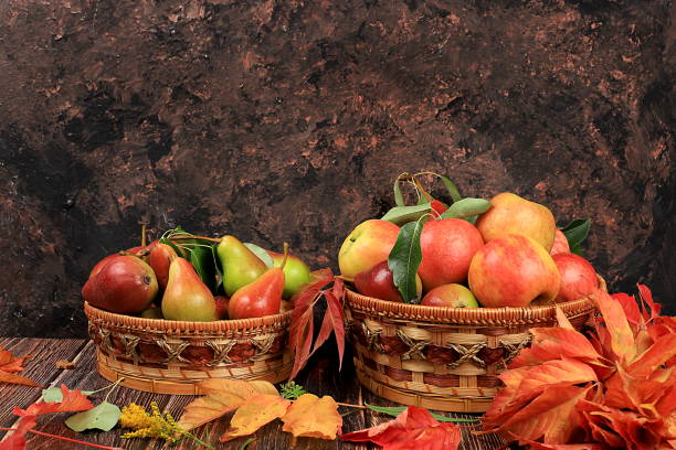 Basket with pears and apples on an old wooden table.Autumn abstract composition with maple leaves, thanksgiving day concepts, background, banner or splash screen, postcard, selective focus ..