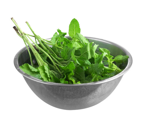 Green young small cucumbers in a basin on the green grass in summer season home vegetable garden