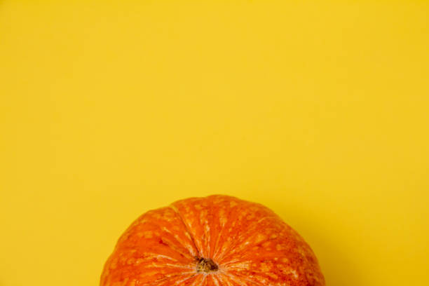 istock Beautiful round pumpkins on a bright orange background 1337509156