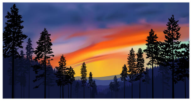 Basic RGB Green northern lights above mountains. Pine trees landscape pattern. light through trees stock illustrations