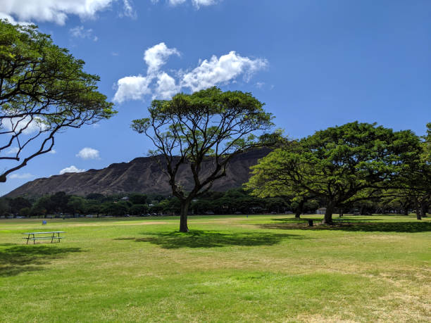 Picnic tables and trees in Kapiolani Park with Diamond Head and clouds in the distance on Oahu, Hawaii.