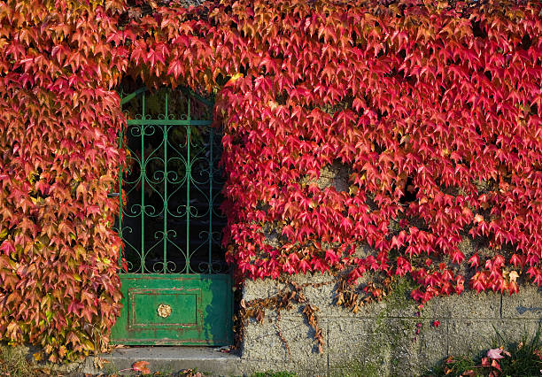 istock Autumnal entrance 133751519