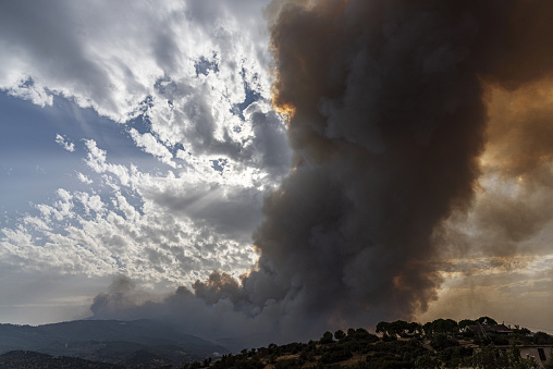 Pine forest fire and smoke on the mountain in Marmaris, Turkey. August 2021