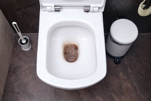 istock Blockage on modern home white toilet with dirty water 1337522721