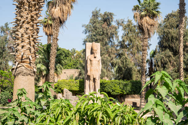 statue debout de ramsès ii sur fond de palmiers verts dans le musée en plein air de memphis, égypte - ramsès ii photos et images de collection