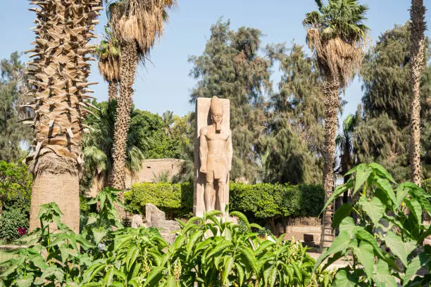 Standing statue of Ramses II on the background of green palm trees in open air museum of Memphis, Egypt