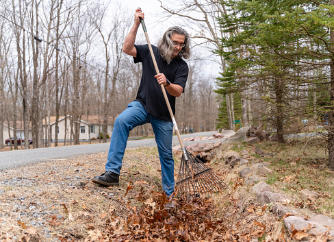 Seasonal yard cleaning, racking out old leaves from the gutter alongside the community road. A man is raking the leaves towards the pile in the gutter during the yard work cleaning.