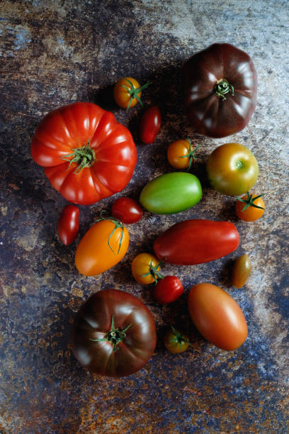 istock Tomatoes of different varieties and colors. 1337526308