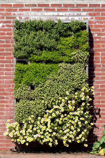 Vertical gardens are a good way to maximize small areas efficiently