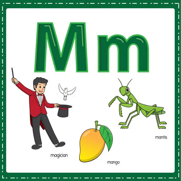 Vector illustration of Vector illustration for learning the letter M in both lowercase and uppercase for children with 3 cartoon images. Magician Mango Mantis.