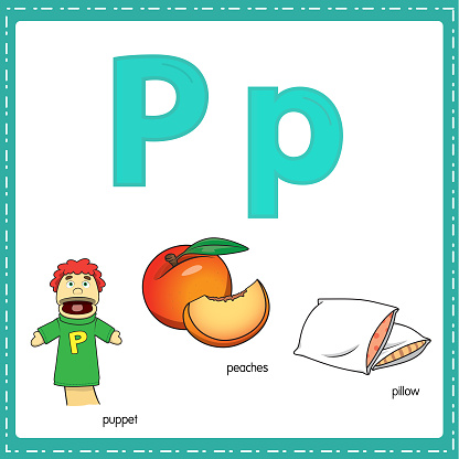 Vector Illustration For Learning The Letter P In Both Lowercase And ...