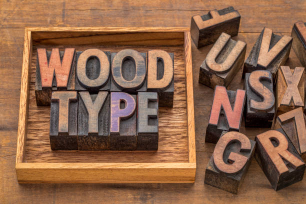 istock wood type word abstract in vintage letterpress printing blocks 1337534893